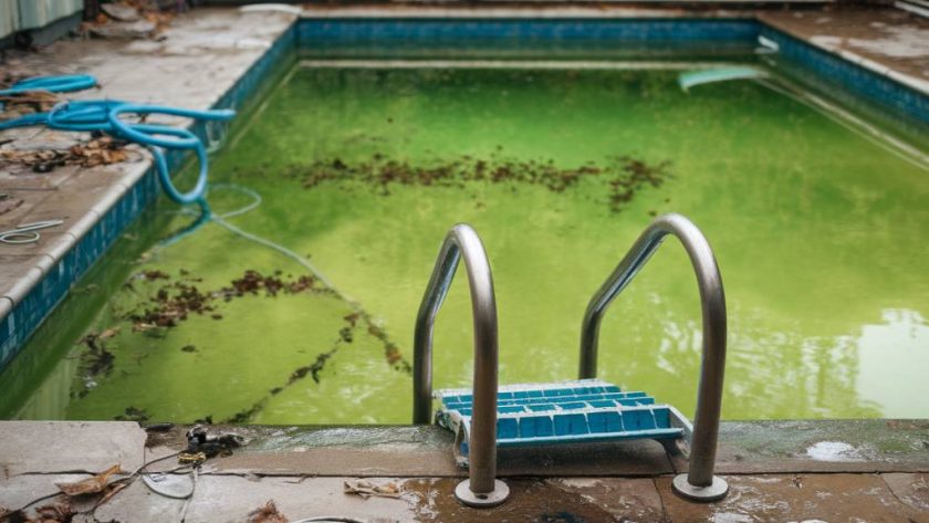 Les erreurs les plus courantes en entretien de piscine et comment les éviter
